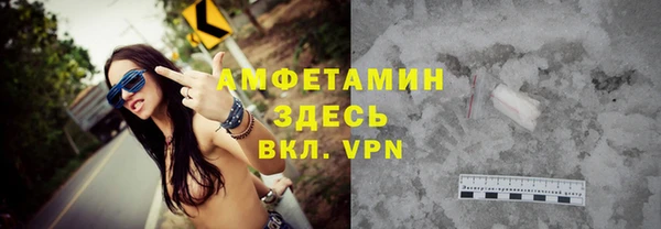 шишки Няндома