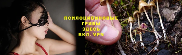 шишки Няндома