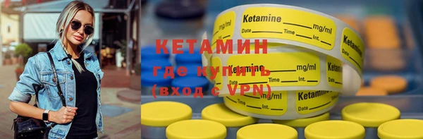 шишки Няндома