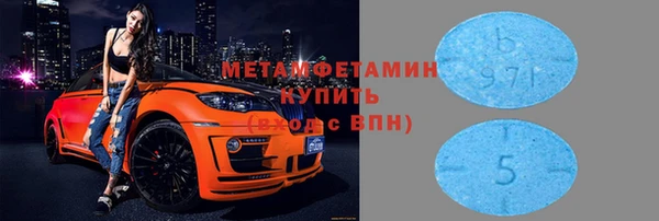 шишки Няндома