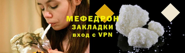 шишки Няндома