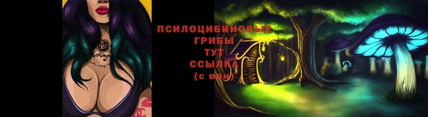 шишки Няндома
