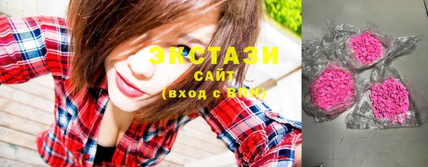 шишки Няндома