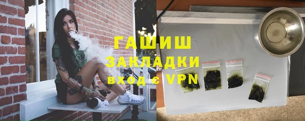 шишки Няндома