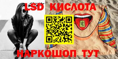 стафф Гатчина