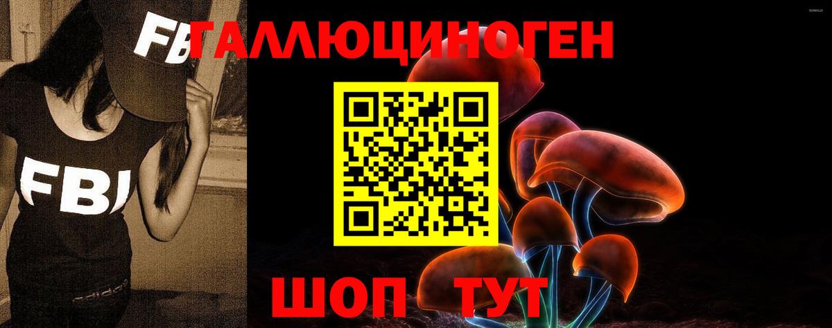 Галлюциногенные грибы мухоморы  Галлюциногенные грибы Magic Shrooms  Губкинский 