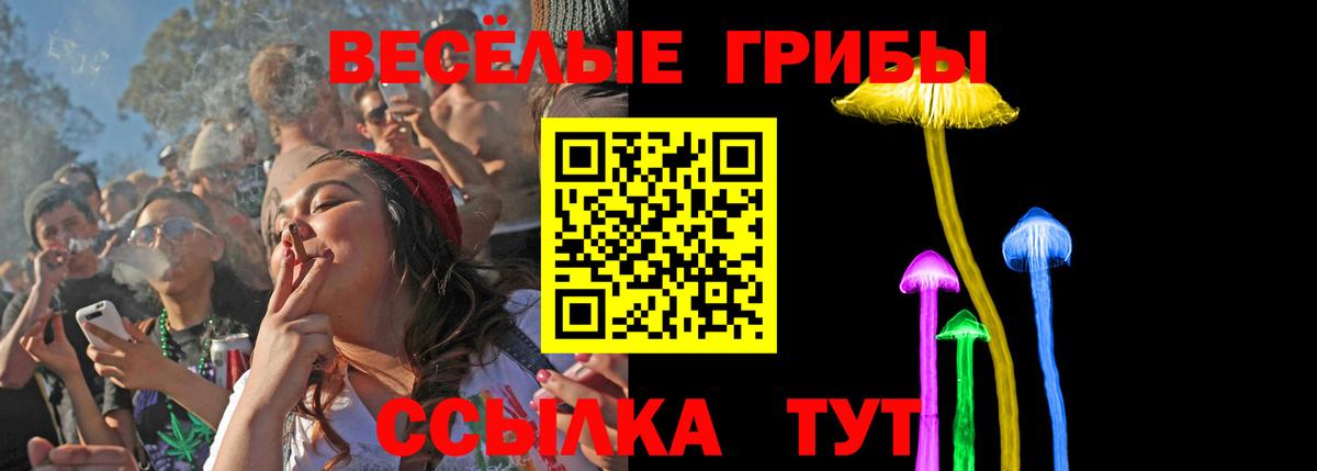 Псилоцибиновые грибы MAGIC MUSHROOMS Губкинский